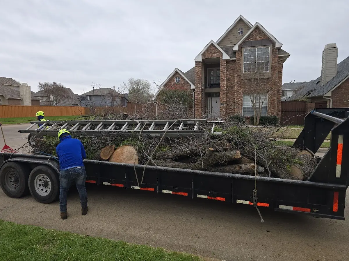 Expert Crown Reduction with proper safety equipment in Wolf Lake